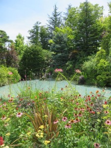 39113432_1828086260602765_1455797908216479744_n