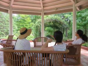 39148893_1828080847269973_1861600806483001344_o