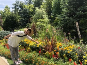 39149961_1828086883936036_6587992881556881408_o