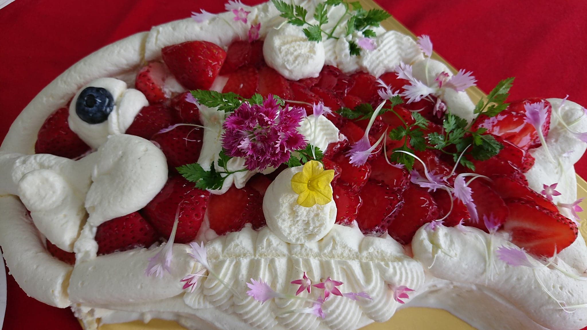 おめで鯛ケーキのご紹介☆