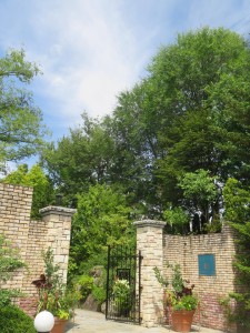 39274466_1828096070601784_6691040477111648256_n