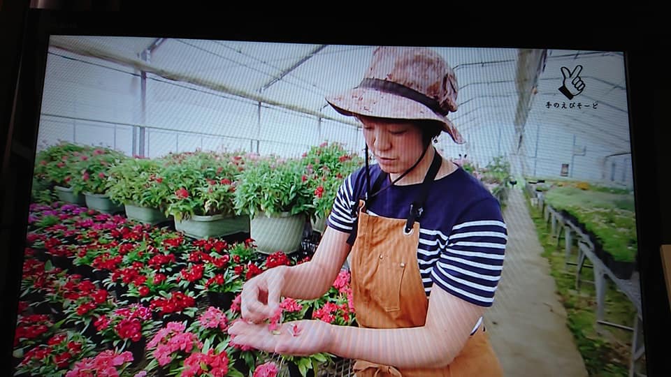 「手のえぴそーど」やっと見れました！！