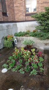 40393526_448077542348369_2882903781333270528_n