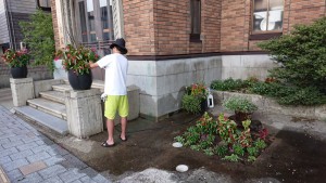 40525472_515169805601053_1868247066510098432_n