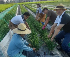 40820113_326505324769967_8227797556785053696_n