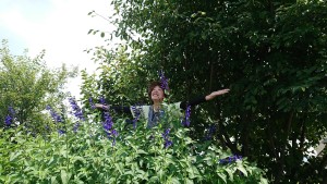 40888475_449180168904737_696584940258590720_n