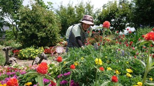 40889510_1116016238574337_532801786969325568_n