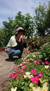 41067547_1058647194293136_7656704920896143360_n