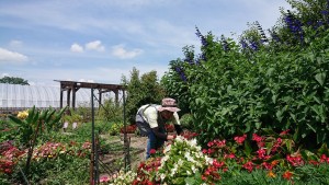 41100555_248765182647195_4189038644973010944_n