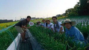 41141919_968916176625731_8269751621966102528_n