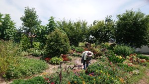 41149269_2204970909782558_3398236995711926272_n