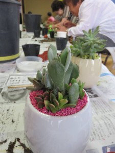 41180507_2154026201591308_6856669749078654976_n