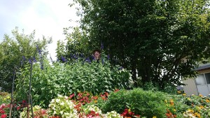 41190233_470326456795145_7539447413157658624_n