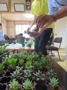 41199869_352293615312888_5702254785558740992_n