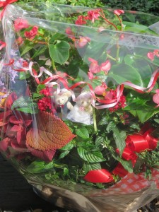 41210477_338781683531435_1722674243843391488_n