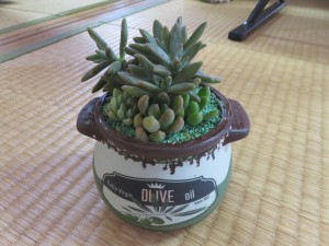 41215786_283873402460339_5729368269853294592_n