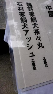 41277992_1863806567030734_7037529649387143168_n