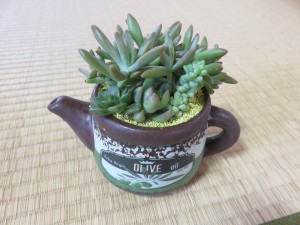 41297735_334321353976533_3908891706510016512_n