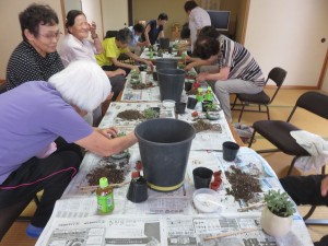 41363524_256537085051349_7816113740188745728_n