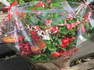 41406739_881331308724889_5962767066279706624_n