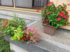 41580133_540252486439653_7000026514649513984_n