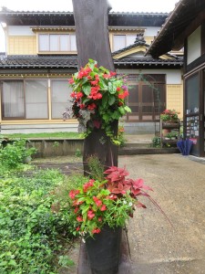 41619216_1852135891490070_1598793071900753920_n