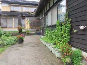 41641395_291845568298439_421208512165576704_n