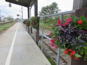 41667350_287974445133517_5922640883345260544_n