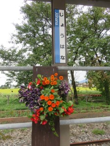 41733877_461616177657124_1811967288237096960_n