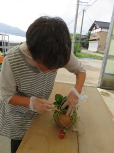 42195039_2231478503546546_8534180964400627712_n