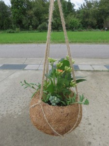 42261157_569769440110894_5904915926976823296_n