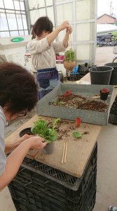 42302548_2199894146921220_8702390657014038528_n