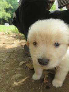 42351661_1882458865165504_5895305246162288640_n