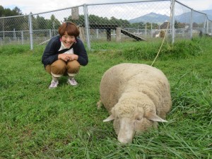 42382645_1882471995164191_7037710347251220480_o