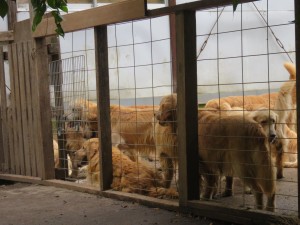 42386851_1882469845164406_7056157644104400896_o