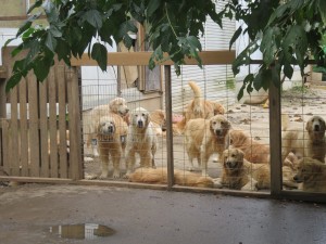 42392059_1882469268497797_7670975447953309696_o