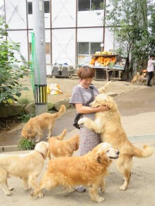 42392855_1882469661831091_5261347710832738304_n