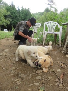 42404877_1882468865164504_7805522153268314112_n