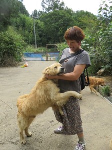 42409908_1882469468497777_986740668644720640_n