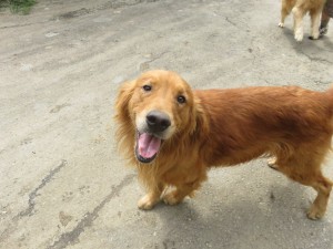 42415628_1882469655164425_5722750442509697024_o