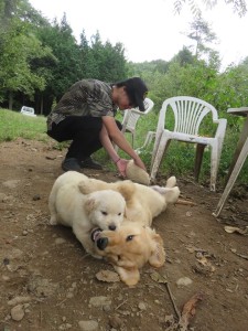 42452713_1882468751831182_441066486732161024_n