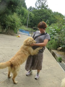 42470029_1882469455164445_2004814876060418048_n