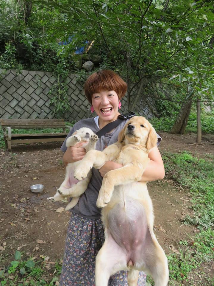 ごるでんはよい🌸