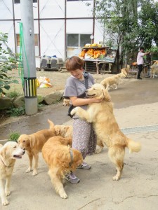 42478952_1882469641831093_7141633373105029120_n