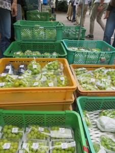 42492191_1882472265164164_5948923574935879680_n