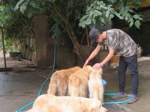 42498189_1882469871831070_7732204123767963648_o