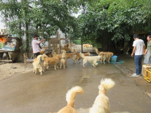 42519428_1882469421831115_3580771855956443136_o