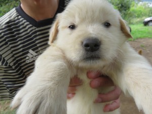 42534668_1882470215164369_8379179404323979264_o