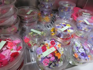 42734822_280886979195646_2986938901538537472_n