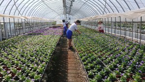 42882947_247471412617095_4450989383255851008_n